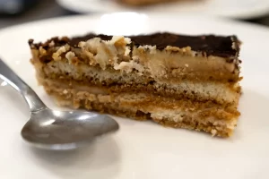 Tiramisu Close Up